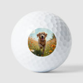 Balles De Golf Chien photo animal (Recto)