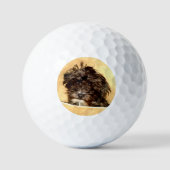 Balles De Golf Chien Schnoodle (Recto)