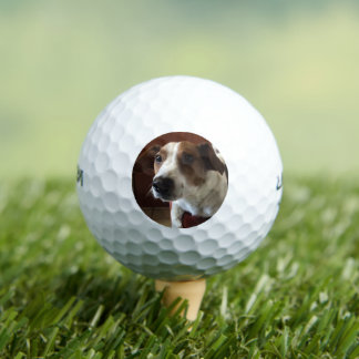 Balles De Golf Chien Tamplate