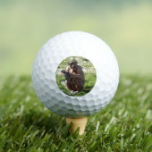 BALLES DE GOLF CHIMPANZÉ (T-shirt Insitu)