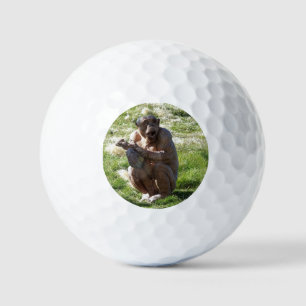 BALLES DE GOLF CHIMPANZÉ