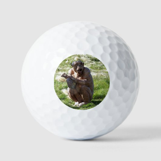 BALLES DE GOLF CHIMPANZÉ (Recto)