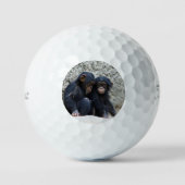 Balles De Golf Chimpanzé 002 (Recto)