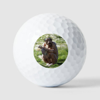 BALLES DE GOLF CHIMPANZEE