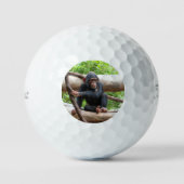 Balles De Golf Chimpanzée 001 (Recto)