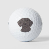 Balles De Golf Chocolat Labrador (Devant)