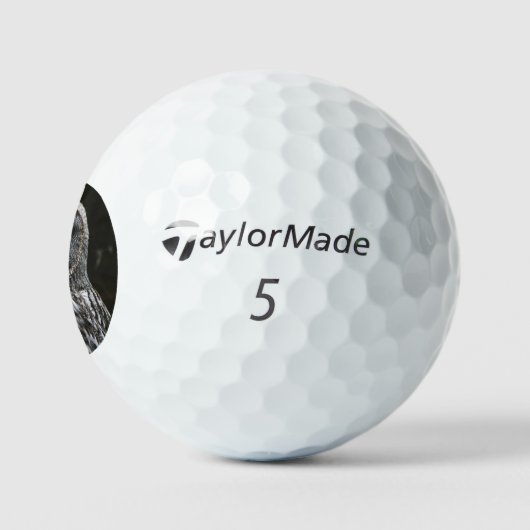 Balles De Golf Chouette grise tmtp5 gbcna (Logo)