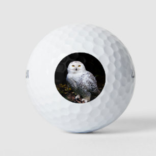Balles De Golf Chouette hivernale majestueuse