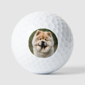 Balles De Golf Chow Chow (Recto)