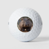 Balles De Golf Chubby The Australian Wombat, (Devant)