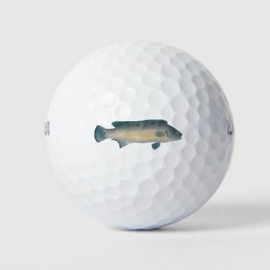 Balles De Golf Cichlidé pike à bandes latérales (Devant)