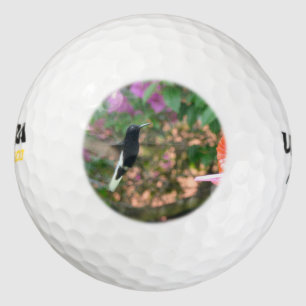 Balles De Golf Colibri noir et blanc volant à la mangeoire