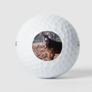 Balles De Golf Comté de Brown Farm Horse Raleigh