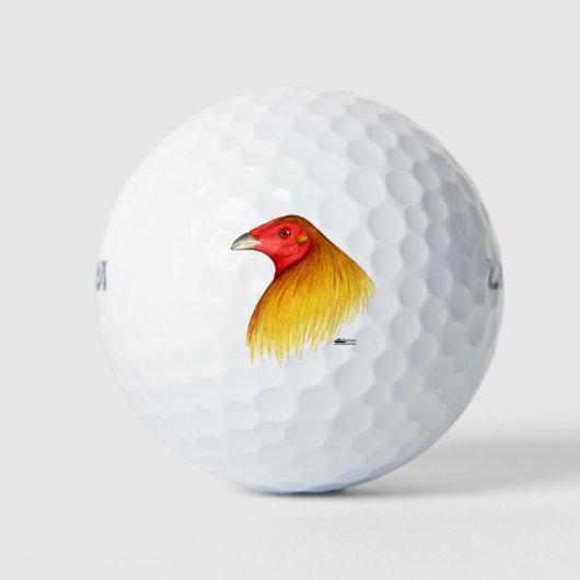 Balles De Golf Coq de Combat Ébarbé (Devant)