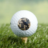 Balles De Golf Corbeau (T-shirt Insitu)