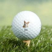 Balles De Golf Corgi (T-shirt Insitu)