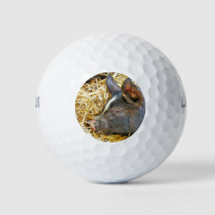 BALLES DE GOLF COUPER