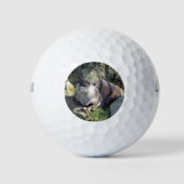 BALLES DE GOLF COUPER OTTER (Devant)