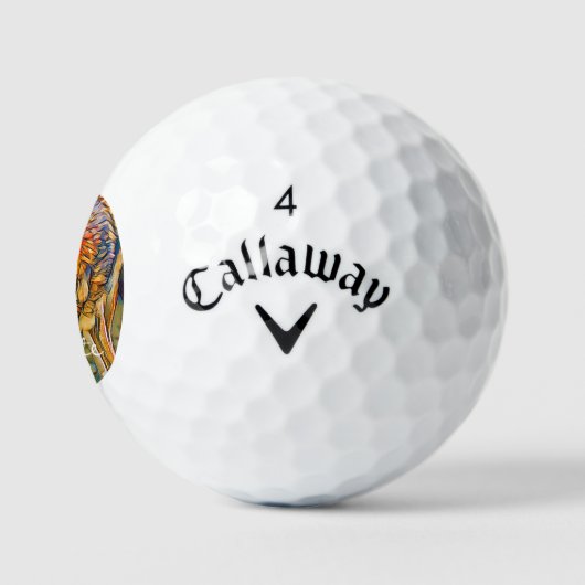 Balles De Golf Coyote (Logo)