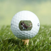Balles De Golf cp p 5 (T-shirt Insitu)