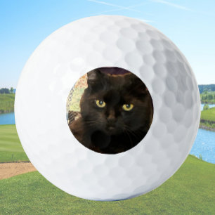 Balles De Golf Créez votre propre photo de chat personnalisée