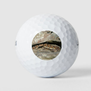 Balles De Golf Crotale dans le parc national de Shenandoah