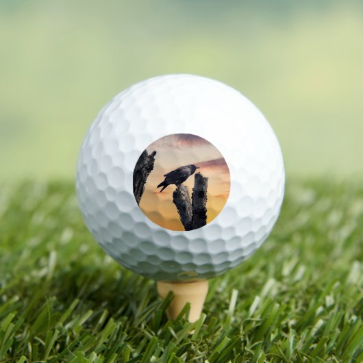 Balles De Golf Crow au lever du soleil (T-shirt Insitu)
