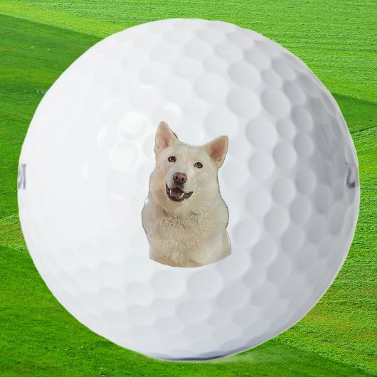 Balles De Golf Crystal the Happy Husky Dog - Balls de golf