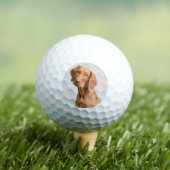 Balles De Golf Custom Dog Photo Golf (T-shirt Insitu)
