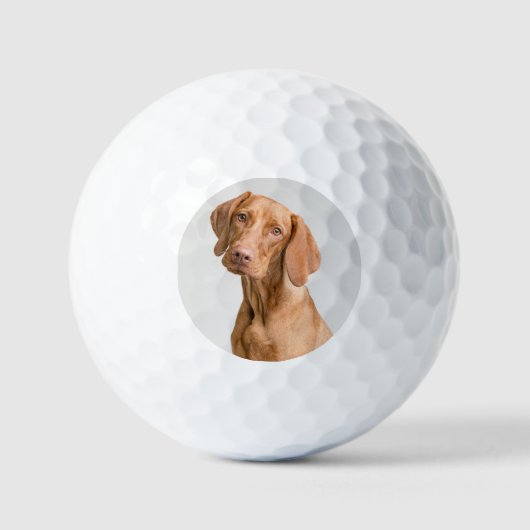 Balles De Golf Custom Dog Photo Golf (Recto)