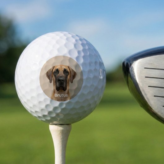 Balles De Golf Custom Pet Dog Photo Great Dane Personalized