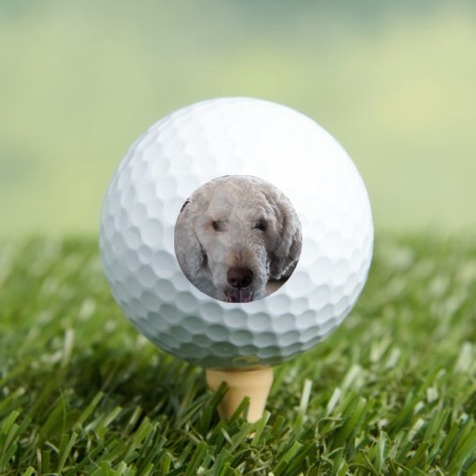 Balles De Golf Cute (T-shirt Insitu)