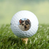 Balles De Golf Cute chat (T-shirt Insitu)