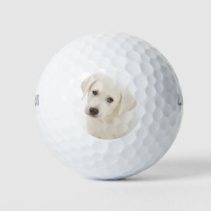 Balles De Golf Cute Labrador Retriever Puppy