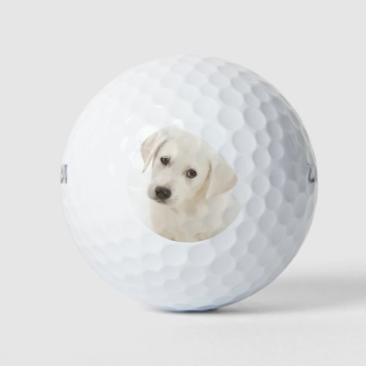 Balles De Golf Cute Labrador Retriever Puppy (Devant)