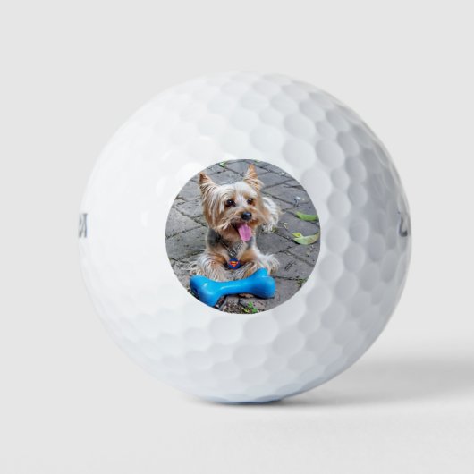Balles De Golf Cute Terrier (Devant)