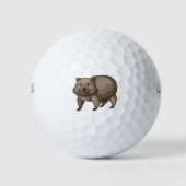 Balles De Golf Cute wombat (Devant)