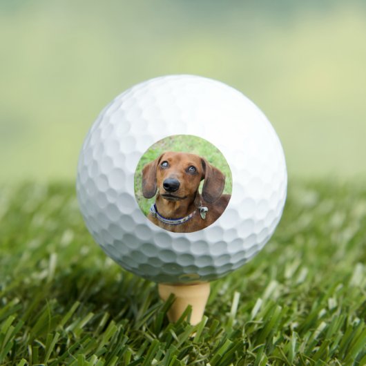 Balles De Golf Dachshund (T-shirt Insitu)