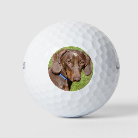 Balles De Golf Dachshund (Devant)