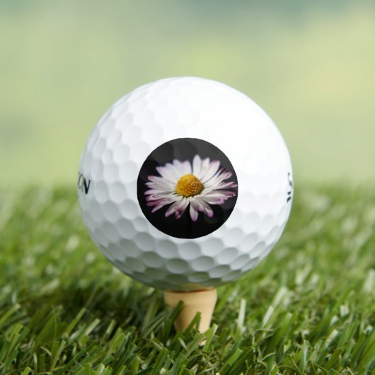 Balles De Golf Daisy commun ssf gbcna (T-shirt Insitu)