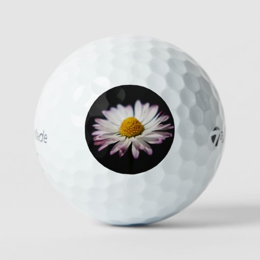Balles De Golf Daisy commun tmtp5 gbcnm (Recto)