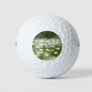 Balles De Golf Daisy Meadow