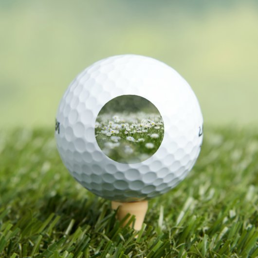 Balles De Golf Daisy Meadow (T-shirt Insitu)
