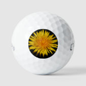 Balles De Golf Dandelion Fleur css gbm (Recto)