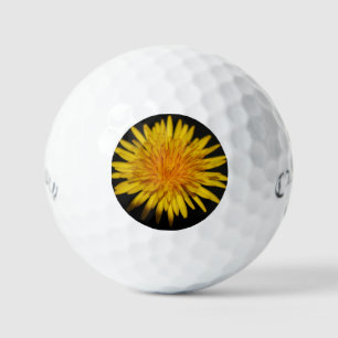 Balles De Golf Dandelion Fleur css gbm