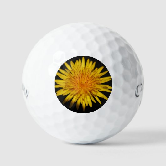 Balles De Golf Dandelion Fleur css gbm (Recto)