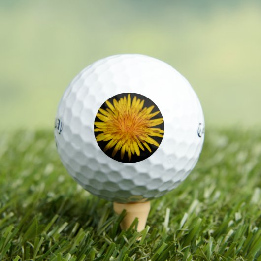 Balles De Golf Dandelion Fleur css gbm (T-shirt Insitu)