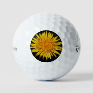 Balles De Golf Dandelion Fleur tmtp5 gbcna