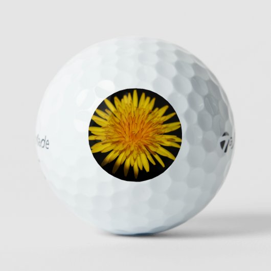 Balles De Golf Dandelion Fleur tmtp5 gbcna (Recto)
