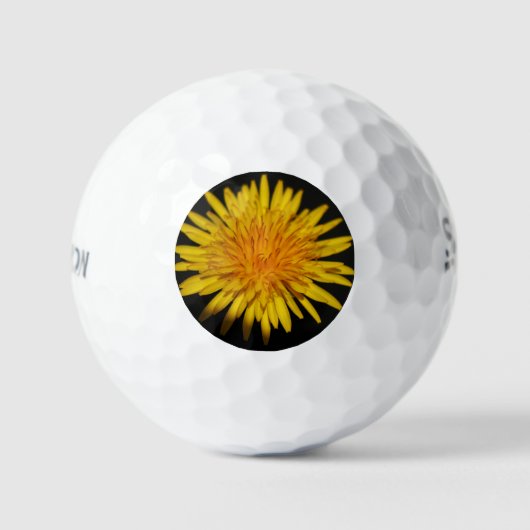 Balles De Golf Dandelion Flower ssf gbcna (Recto)